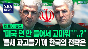 수정 이란 대사