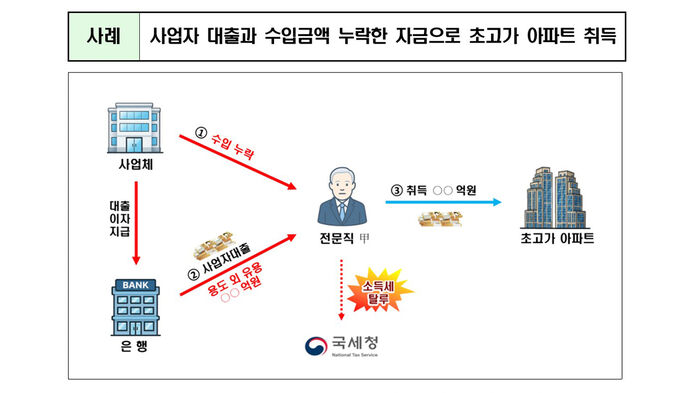 사업자 대출과 수입 금액 누락한 자금으로 초고가 아파트 취득 사례 (사진=국세청 제공, 연합뉴스)