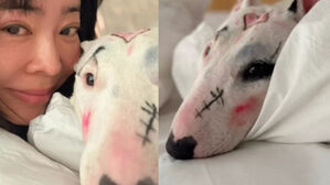 이혜영, 반려견 얼굴에 기괴한 화장&hellip;논란 일자 삭제 