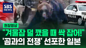 [현장영상] "겨울잠 덜 깼을 때 잡어" 지난해 13명 사망한 일본 '곰과의 전쟁'