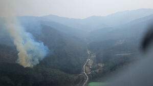 대피 권고 내려진 영주 소백산 산불, 1시간 만에 진화