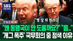 "동맹들이 왜 미국 안 도울까요?" "몇 달 뒤 두고봐!"&hellip;트럼프 말끝마다 '폭풍 리액션' 국무회의 중 '불편한 질문'에 (트럼프 NOW)