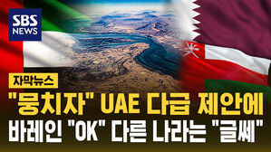 [자막뉴스] "뭉치자" UAE, '다국적 연합군' 구성해 호르무즈 해협 개방 추진