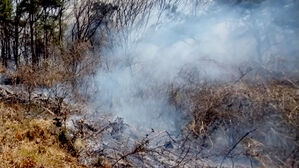 경남 진주 야산서 불&hellip;헬기 7대 등 동원 1시간여만에 진화