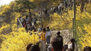 "실화냐" 두 눈 의심&hellip;전국 곳곳 펼쳐진 반전 풍경
