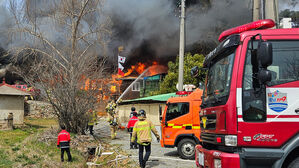 충남 곳곳 산불 피해&hellip;"다친 사람 없어"