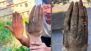 "사람 손 아니야?"&hellip;기이한 모양에 '두 눈 의심'