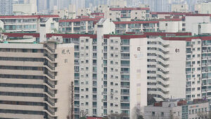 다주택자 대출 연장 불허&hellip;'세낀 매물' 무주택자 매수 한시 허용