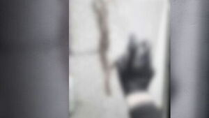 추가 구속에도&hellip;경찰 비웃듯 "징역 갈 일 없다"