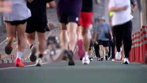 산책로 점령하더니&hellip;"눈치껏 비켜라" 적반하장