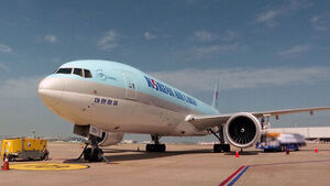 "오르기 전에 사자" 우르르&hellip;업계 1위도 '비상 경영'