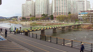 하천 떠다닌 캐리어 속 여성 시신&hellip;딸&middot;사위 긴급체포