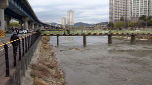 경찰 "캐리어 시신, 사위 폭행으로 숨진 듯"&hellip;부검 뒤 영장 신청