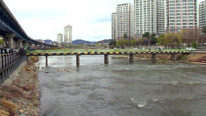 하천 떠다닌 캐리어 속 시신&hellip;"사위 폭행으로 사망"