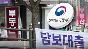 다주택자 '대출 연장' 불허&hellip;무주택자 '갭투자' 한시 허용