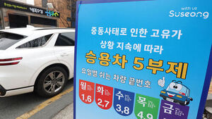 공공기관 차 운행 제한 '2부제'로 강화&hellip;공영주차장 5부제 시행