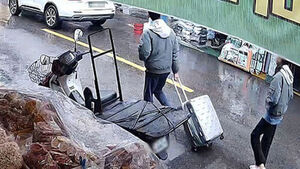 장모 살해한 뒤 시신 유기한 20대 사위&middot;딸, 오늘 구속 심사