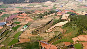 '농사 안 짓는' 농지 다 잡는다&hellip;"적발 시 매각 명령"