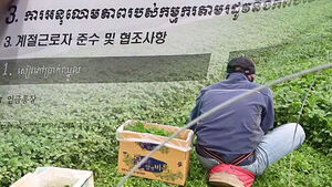 캄보디아 계절근로자 본격 입국&hellip;양평군 역대 최대 규모