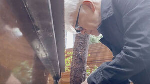 '다이어리'와 '모래그릇'&hellip;이번 주 일본 영화들 속속 개봉