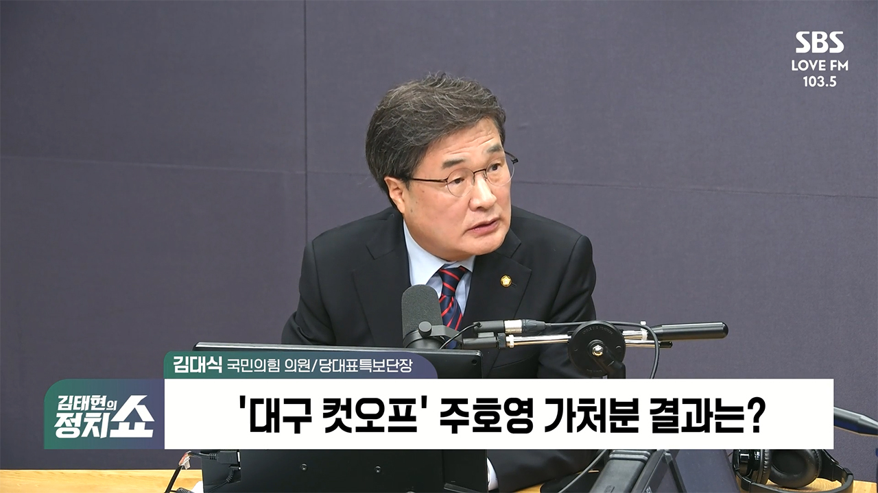 [정치쇼] 김대식 