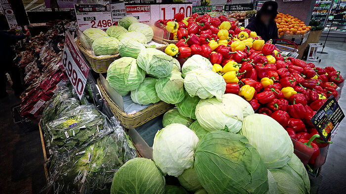 "더 오른다" 사재기 조짐&hellip;비상 대응에도 '위태'