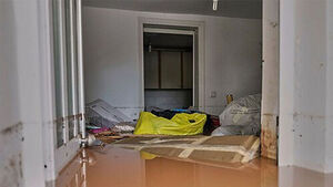 순식간에 온통 핏빛으로&hellip;"휴양지가 어쩌다" 발칵