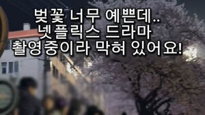 "좁은 벚꽃길 전세 냈나"&hellip;드라마 '민폐 촬영' 논란