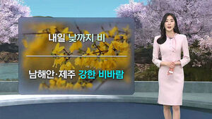 [날씨/XR] 피자마자 벚꽃엔딩?&hellip;주말 강한 비바람