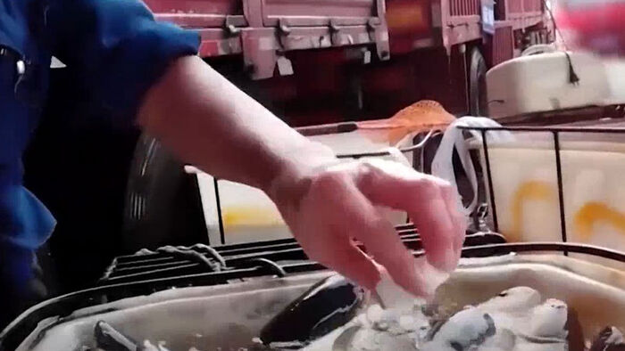 의문의 액체 뿌리자 기절…"또 터졌다" 뒤집어진 중국