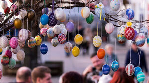 독일 부활절 비극&hellip;강풍으로 쓰러진 나무에 깔려 3명 사망