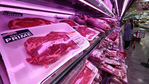 1분기 축산물이력제 위반 등 103건 적발&hellip;정부 "처벌 강화"