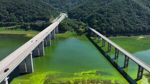 '수도권 식수원' 소양호 상류 녹조 대책 시행