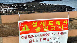 질병청 "유럽서도 AI 인체 감염&hellip;가금류&middot;길고양이 접촉 자제해야"