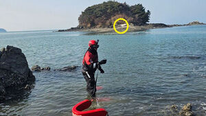'관광갔다 물길끊겨'&hellip;선재도 딴두부리섬 고립 외국인 2명 구조