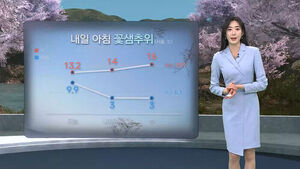 [날씨] 비 그친 뒤 꽃샘추위&hellip;찬바람에 체감온도 '뚝'