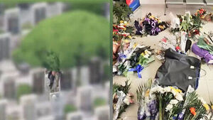 묘지 돌면서 슬쩍&hellip;"또 없어졌다" 이유도 뻔뻔 