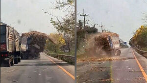 사탕수수 싣고 좌우로 기우뚱..욕심이 부른 최후