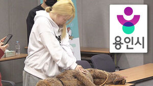 반려인들 앞 "손가락 꾹꾹"&hellip;수의사가 직접 방문까지