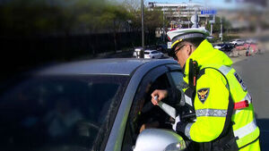 "초행길이잖아" "나만 그래?"&hellip;1시간에 '358건' 걸렸다