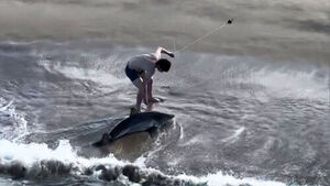 "월척이다" 환호했는데&hellip;낚시줄 보고 '화들짝'