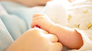 "입양 대기 길면 발달 느려&hellip;생후 12개월 내 빠르게 가정 보내야"