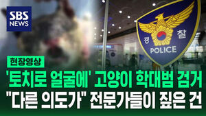 [현장영상] '포획 틀로 잡고 토치로 얼굴에' 고양이 학대범 잡혔다