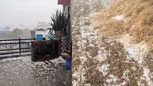 20분간 쏟아진 우박들&hellip;"농사 망쳤다" 망연자실