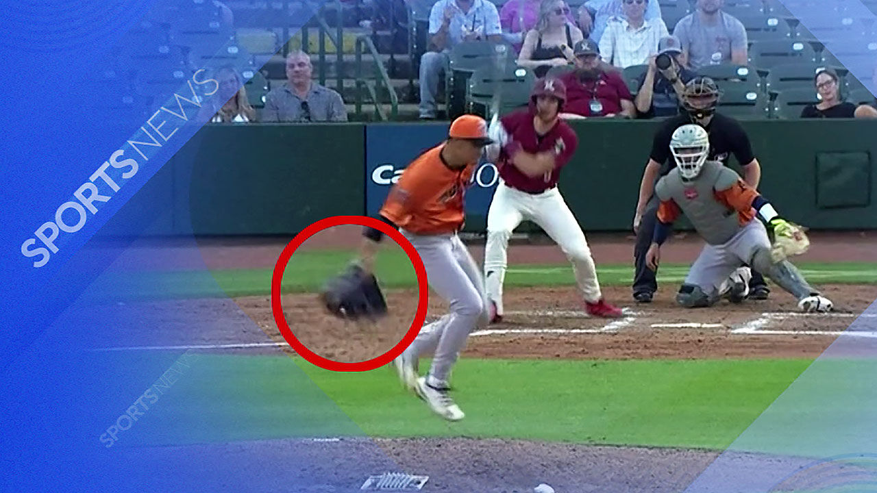 메이저리그급 수비…동물적 감각으로 잡았다!