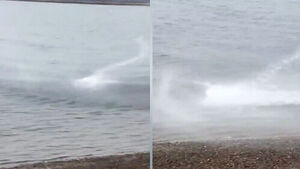 수면 위 수상한 움직임&hellip;"저게 뭐야" 두 눈 의심