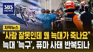 [자막뉴스] '이틀째 수색' 늑구 사살이냐 생포냐&hellip;동물단체 "사람 잘못인데 왜 늑대가 피해를?"