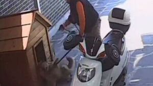 산 채로 끌려간 '봉봉이'&hellip;가정집 무단 침입하더니 "착각"