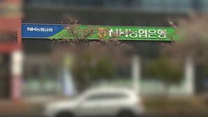 "내 말대로 해봐"&hellip;농협 지점장 수법에 100억 '줄줄'