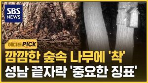 [에디터픽] 깜깜한 숲속 나무에 '착'..성남 끝자락 '중요한 징표'